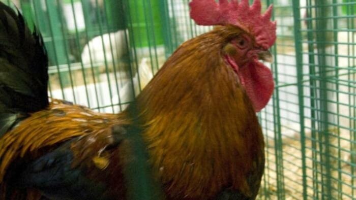 Mestá sa stretávajú s netradičnými podnetmi