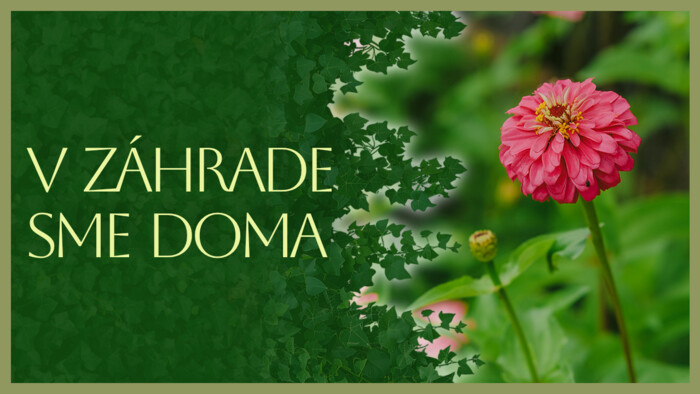 Cínie | V záhrade sme doma