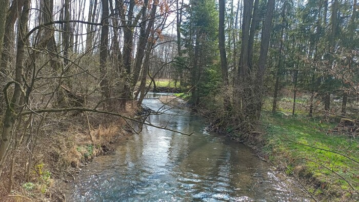 WhatsApp Image 2026-04-17 at 13.51.43 (1).jpeg