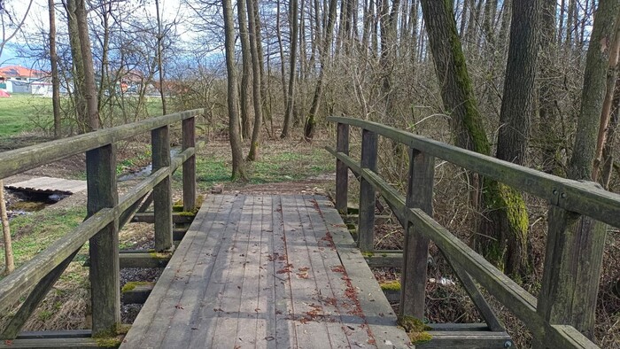 WhatsApp Image 2026-04-17 at 13.51.43.jpeg