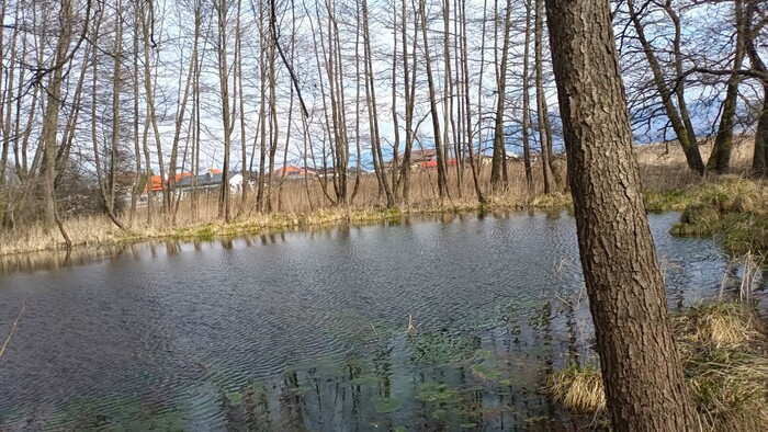 WhatsApp Image 2026-04-17 at 13.51.44 (1).jpeg