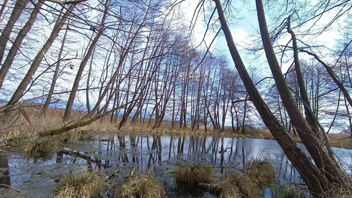 Náučný chodník Mokrade Turca