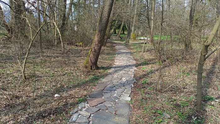 WhatsApp Image 2026-04-17 at 13.51.44 (4).jpeg