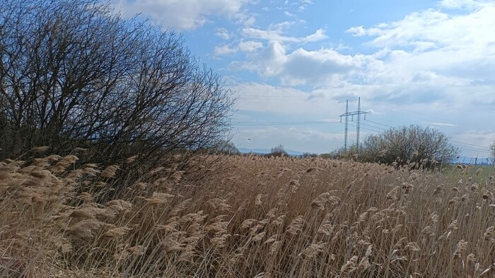 WhatsApp Image 2026-04-17 at 13.51.44 (6).jpeg