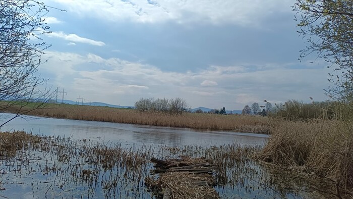 WhatsApp Image 2026-04-17 at 13.51.44 (5).jpeg