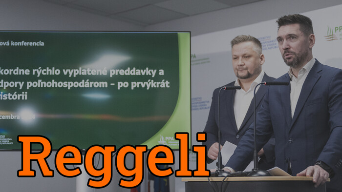 Több száz millió eurónyi támogatás van veszélyben a PPA kifogásolható működése miatt