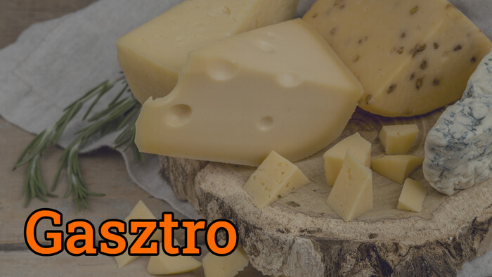 Sajtok és sajtfélék