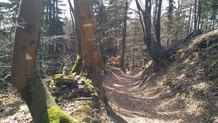 260425_Radiovikend_Snímka 9.jpg