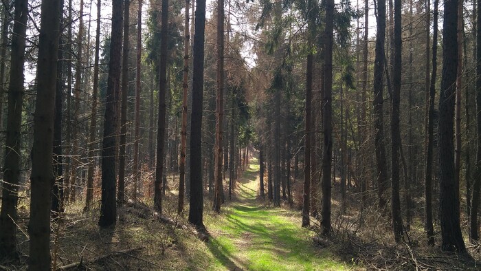 260425_Radiovikend_Snímka 10.jpg