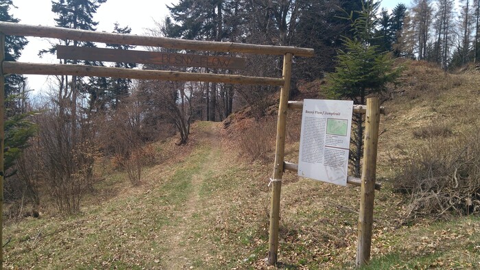 260425_Radiovikend_Snímka 8.jpg