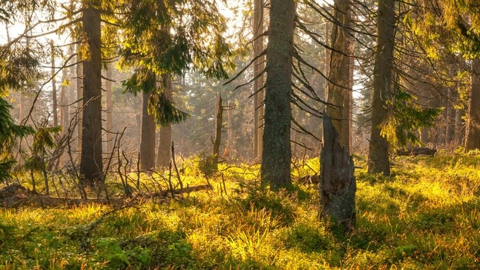 Overené storočiami – Kto na Poľane nebol, nevidel sveta