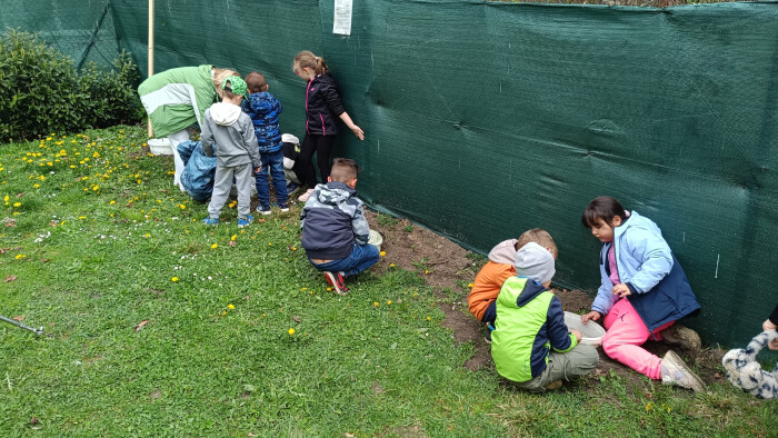 Deti sadili jahody a čučoriedky