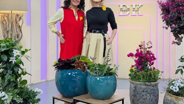 iveta-a-sona-den-narcisov-damsky-klub