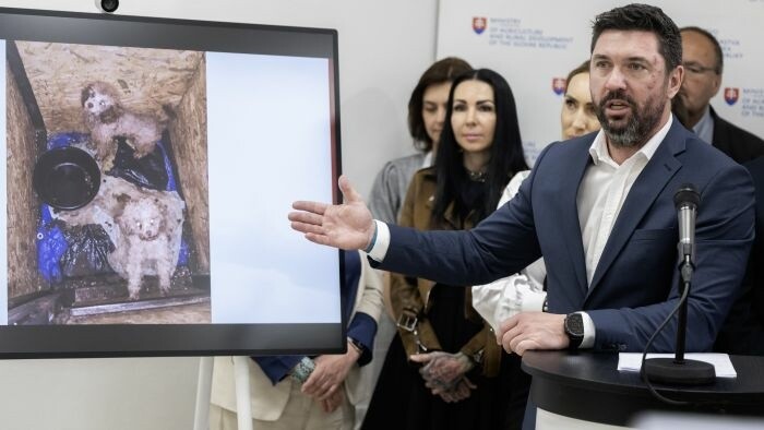 Štát chce zakázať nelegálne množenie 