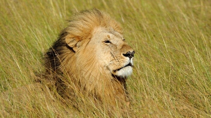 Zamyslenie / Žuvačkový vtip