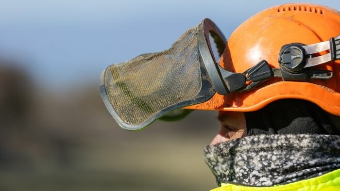 La pénurie de main-d’œuvre pousse les entreprises à recruter des étrangers