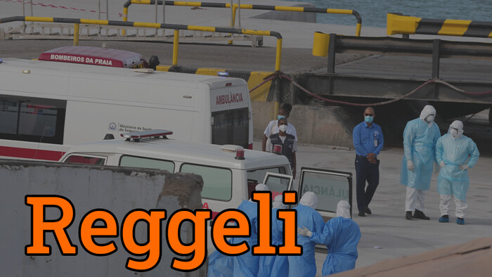 Halálos megbetegedések egy hajón – mit kell tudni a hantavírusról?