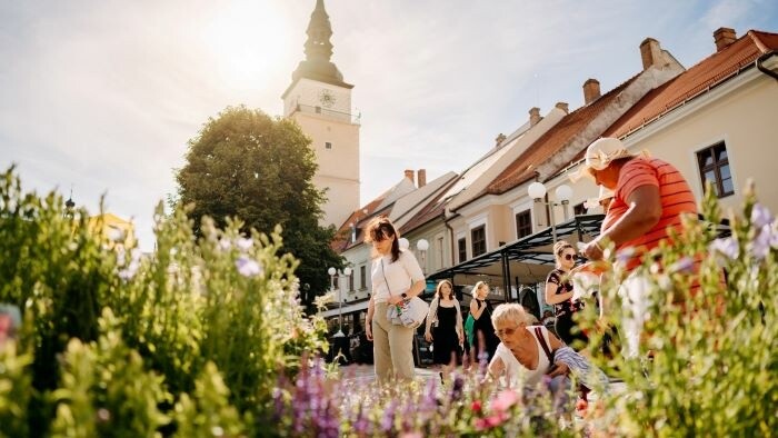 Größter städtischer Blumenmarkt in Trnava startet am Donnerstag
