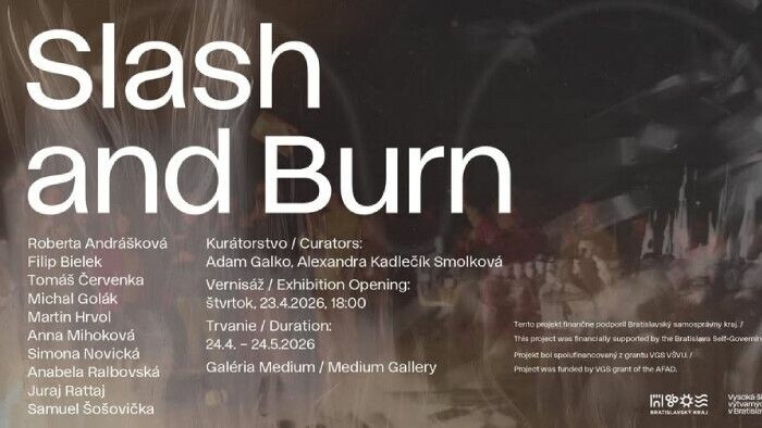 Výstava Slash and Burn v bratislavskej Galérii Medium 