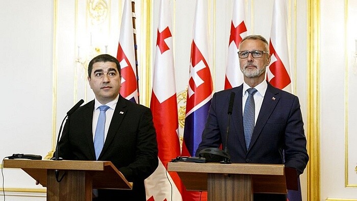 Slovak and Georgian Speakers Stress Importance of Parliamentary Ties