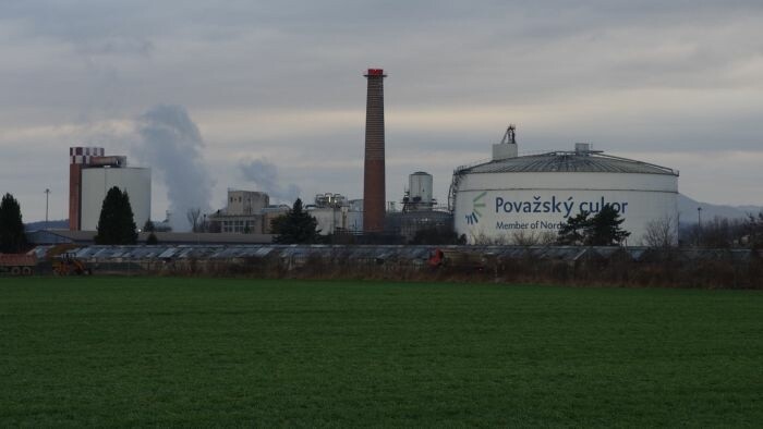 Production du sucre slovaque en baisse