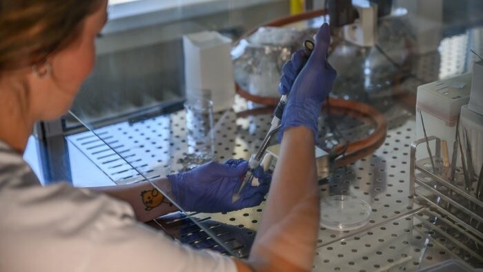 La Oficina Antimonopolio detecta un cártel e impone multas récord a laboratorios clínicos