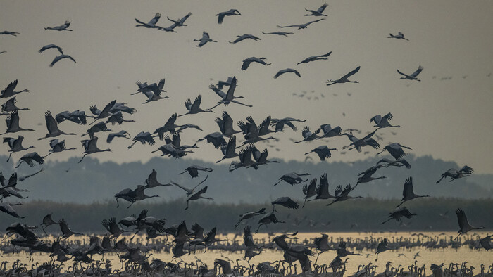 WildReturnPrednaska KDF (190 of 752) .jpg
