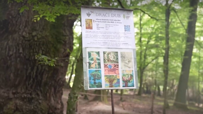 Vandalizmus, aký nemá obdoby