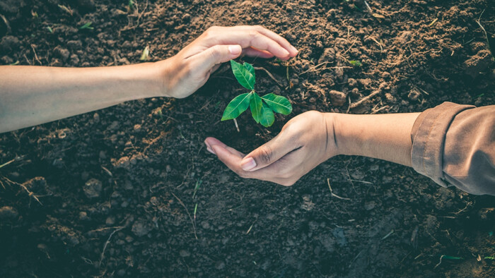 Projekt Klimaticky odolné susedstvo