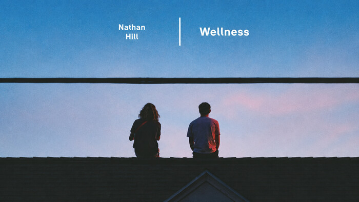 Knižný tip: Nathan Hill - Wellness