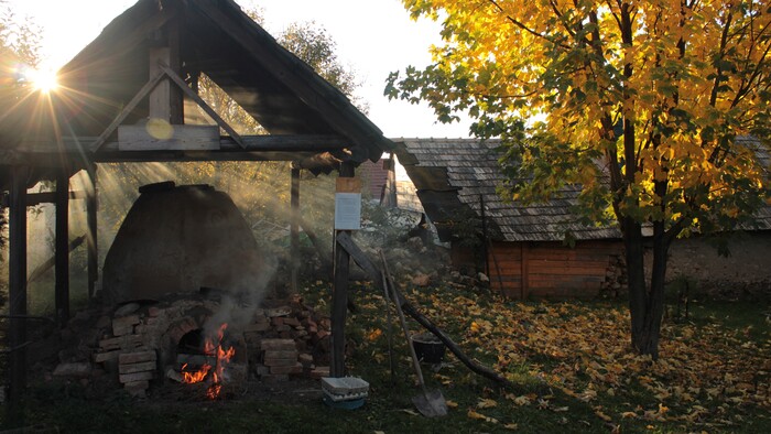 Snímka 12.JPG