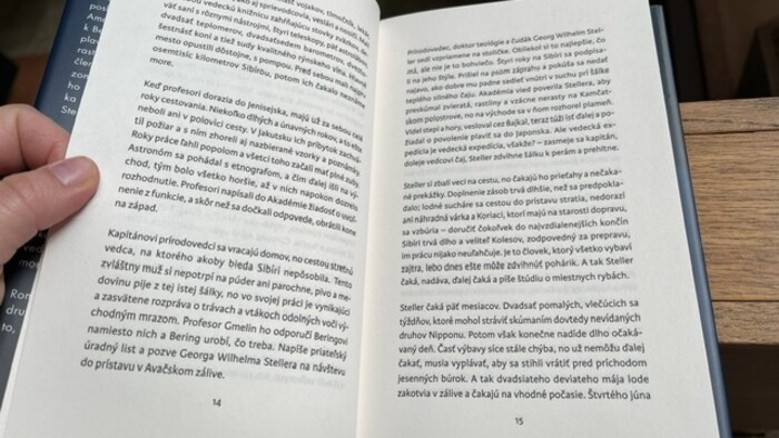 IMG_6690.jpeg