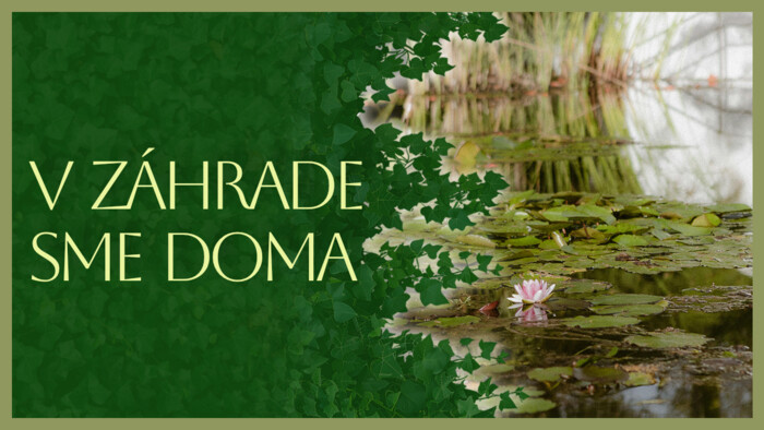 Jazierko v záhrade | V záhrade sme doma