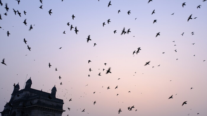 India gate (1).JPG