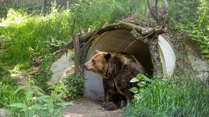 Bratislavská zoo prišla o ikonu