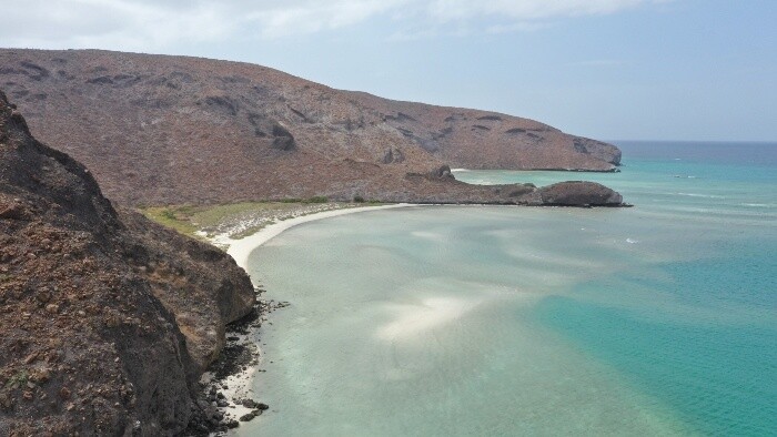 Mexiko – Baja California – plávanie so žralokmi, rajami, kosatkami a uškatcami
