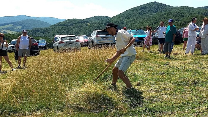 Ostrogrúnska ostrá kosa