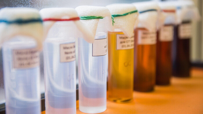 Curiosity Without Limits: More Than Chemistry