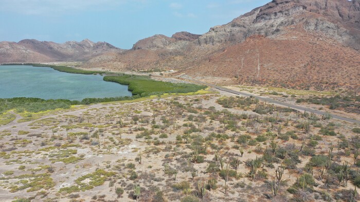 DJI_0479.JPG
