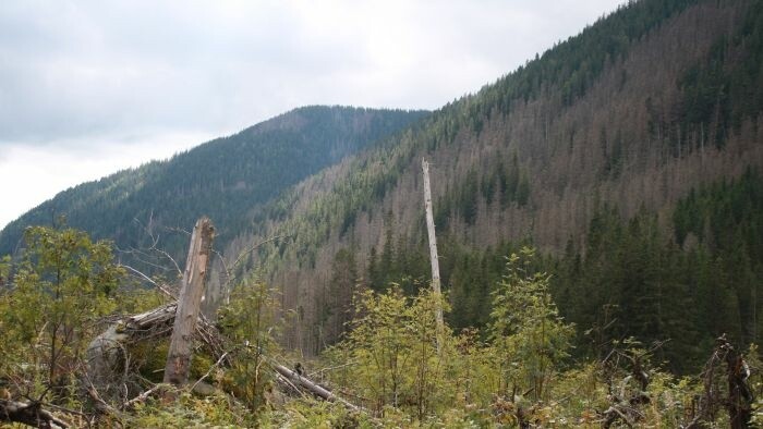 Le gouvernement approuve le zonage de parcs nationaux