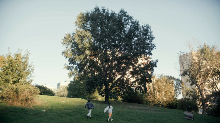 milovnik-nie-bojovnik