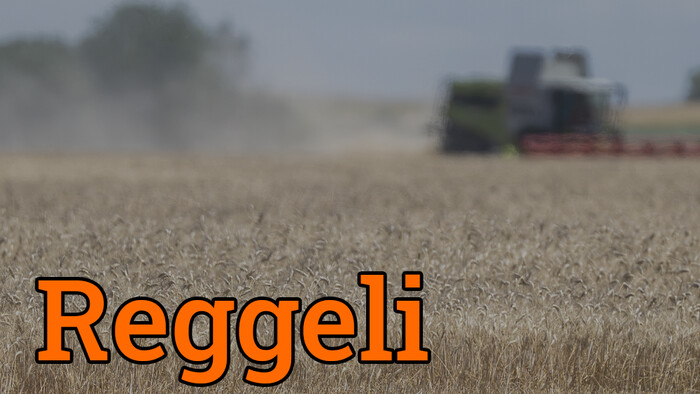 Aszály írta át az idei termést 