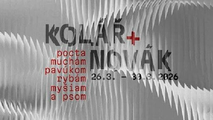 Výstava Pocta pavúkom, muchám, rybám, myšiam a psom v SNG