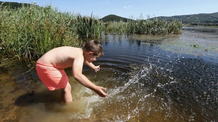 Détente au bord de l’eau