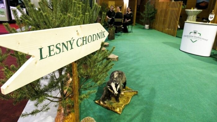 Rekordy v cestovnom ruchu 