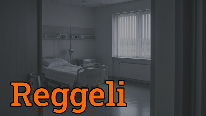 Sok sebből vérzik a palliatív ellátás Szlovákiában