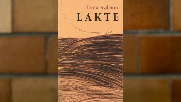 Preklad románu nemecko tureckej spisovateľky Fatmy Aydemir Lakte