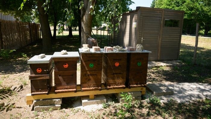 La Universidad Eslovaca de Agricultura de Nitra recibe un premio de la Organización de las Naciones Unidas para la Alimentación 