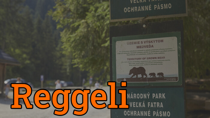 Medvetámadások és terjedő sertéspestis nehezíti a szlovák vadászok dolgát