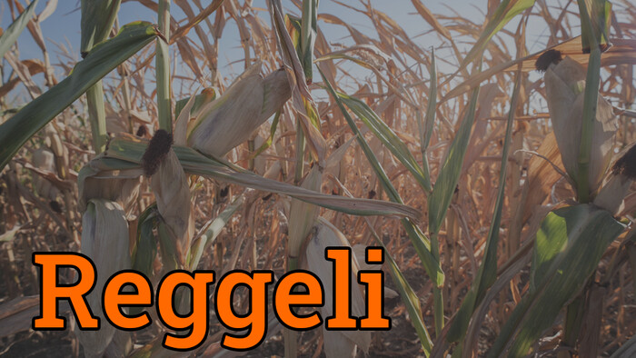 Az aszály komoly gazdasági problémává vált a szlovákiai mezőgazdaságban